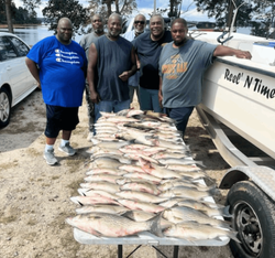 Stripers on Clarks Hill lake 